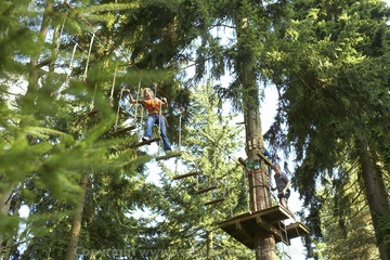 Go Ape: Adult